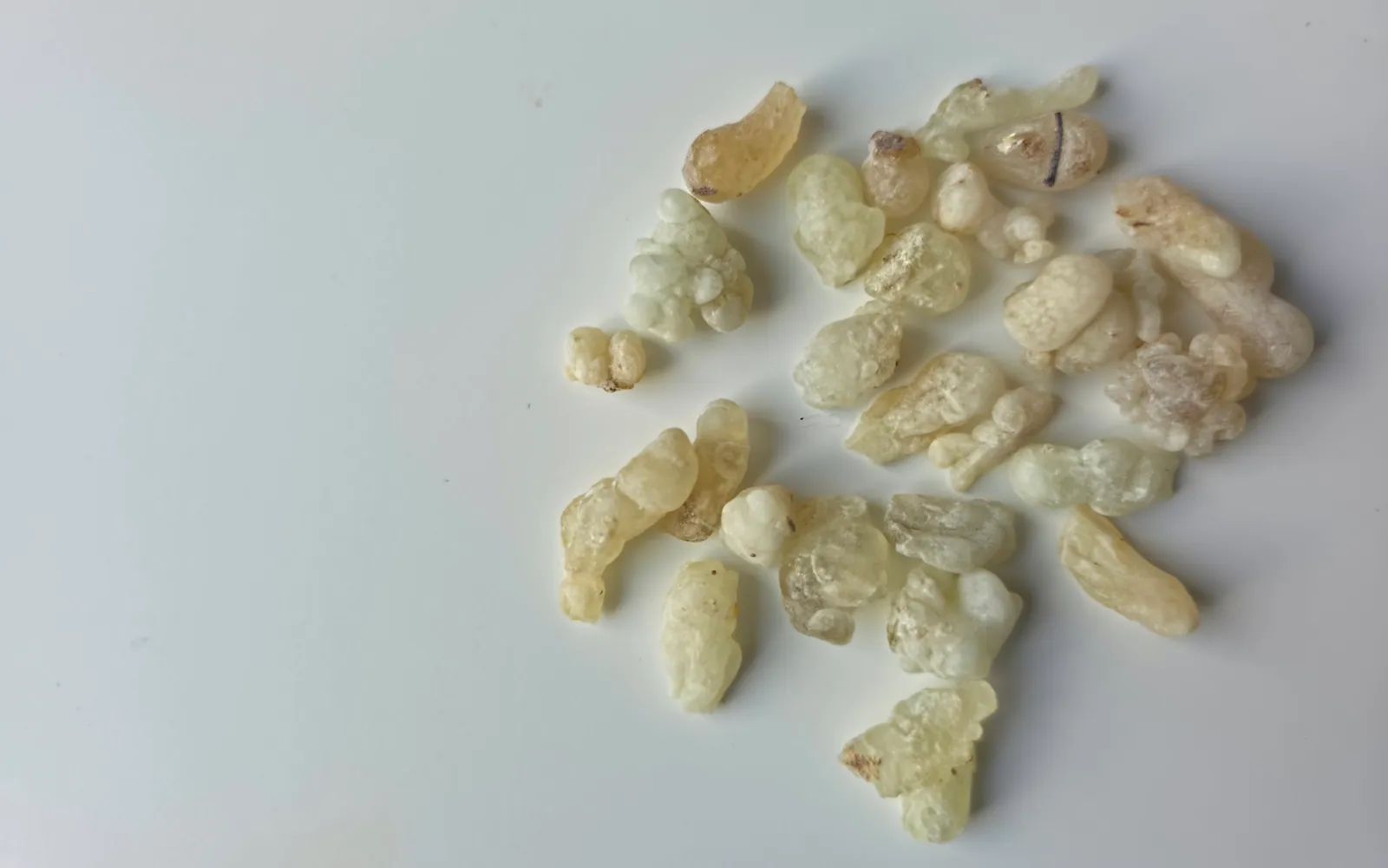 Boswellia-frereana-Harz (Maydi): helle, gelblich-cremige Harztränen auf neutralem Grund